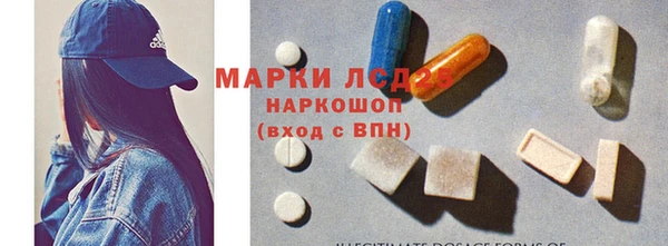 гидра Алексеевка