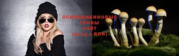 таблы Алзамай