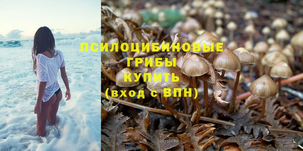 гидра Алексеевка