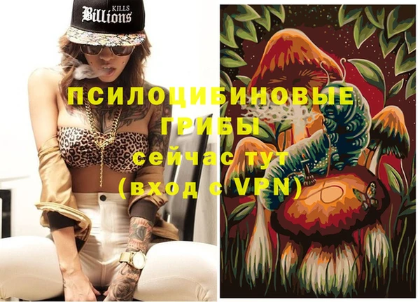гидра Алексеевка