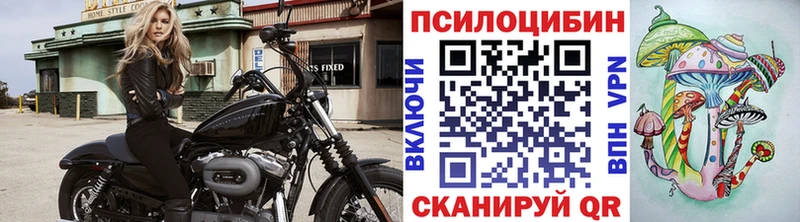 Галлюциногенные грибы MAGIC MUSHROOMS  Лукоянов 